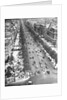 Tree Lined Street by Anonymous