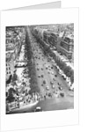 Tree Lined Street by Anonymous