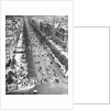 Tree Lined Street by Anonymous