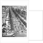 Tree Lined Street by Anonymous