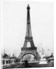 Eiffel Tower from Exhibition Grounds by Anonymous