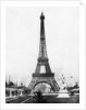 Eiffel Tower from Exhibition Grounds by Anonymous