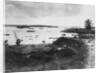 Tanga Harbor by Anonymous