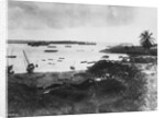 Tanga Harbor by Anonymous