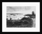 Tanga Harbor by Anonymous