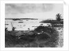 Tanga Harbor by Anonymous