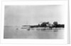 Entrance To Dar-Es-Salaam by Anonymous