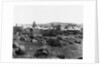 Bloemfontein by Anonymous