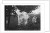 Gersoppa Falls by Anonymous