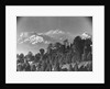 Kanchenjunga Mountain by Anonymous
