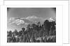 Kanchenjunga Mountain by Anonymous
