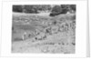Tour of a Ruined Amphitheater by Anonymous
