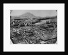 Rooftop View of Lima by Anonymous