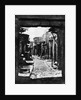 Narrow Damascene Street by Anonymous