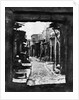 Narrow Damascene Street by Anonymous