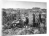 Alexandria In Ruins by Anonymous