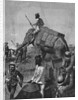 Elephant Battery at Action in Burma by Anonymous