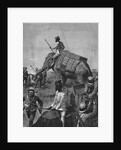 Elephant Battery at Action in Burma by Anonymous