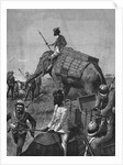 Elephant Battery at Action in Burma by Anonymous