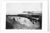 Troops Ready For Evacuation at Dunkirk by Anonymous