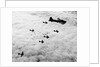 Flying Fortresses in Flight Over Germany by Anonymous