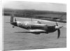Spitfire In Flight. by Anonymous