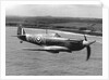 Spitfire In Flight. by Anonymous
