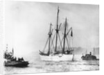 Amundsen's Vessel Returns From the Arctic by Anonymous