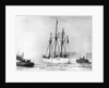 Amundsen's Vessel Returns From the Arctic by Anonymous