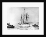 Amundsen's Vessel Returns From the Arctic by Anonymous