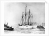 Amundsen's Vessel Returns From the Arctic by Anonymous