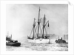 Amundsen's Vessel Returns From the Arctic by Anonymous