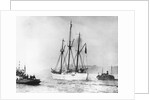 Amundsen's Vessel Returns From the Arctic by Anonymous