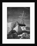 Endurance Trapped in Ice by Anonymous