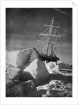 Endurance Trapped in Ice by Anonymous