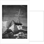 Endurance Trapped in Ice by Anonymous