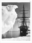 Terra Nova in Antarctica by Anonymous