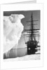 Terra Nova in Antarctica by Anonymous