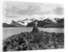 Shackleton's Grave at Grytviken by Anonymous