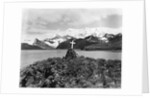 Shackleton's Grave at Grytviken by Anonymous