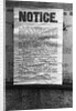 Evacuation Notice by Anonymous