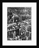Destruction of Dresden, 1945 by Anonymous