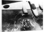 Japanese Bomber Over Chungking by Anonymous
