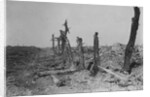 Devastated Battlefield of The Somme, 1916 by Anonymous