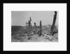 Devastated Battlefield of The Somme, 1916 by Anonymous