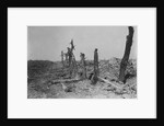 Devastated Battlefield of The Somme, 1916 by Anonymous