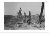 Devastated Battlefield of The Somme, 1916 by Anonymous