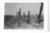 Devastated Battlefield of The Somme, 1916 by Anonymous