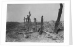 Devastated Battlefield of The Somme, 1916 by Anonymous
