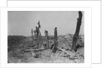 Devastated Battlefield of The Somme, 1916 by Anonymous